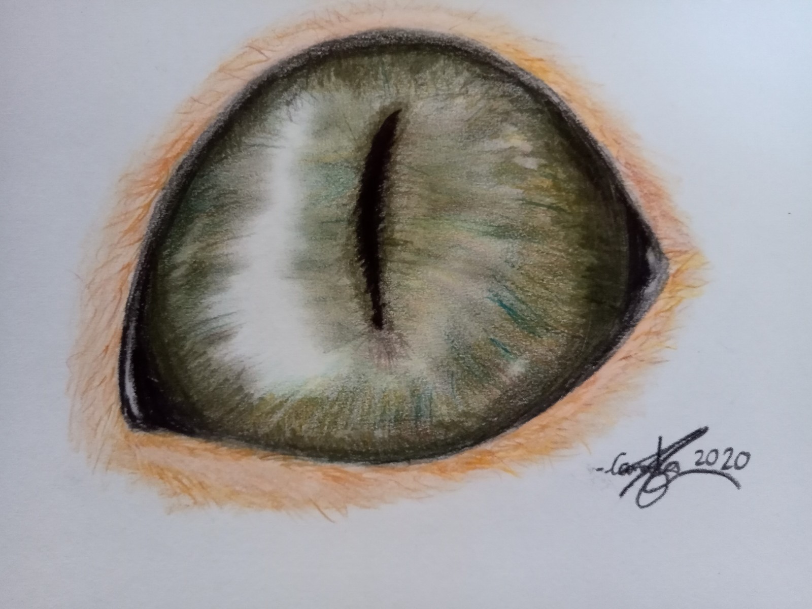 Ilustración hecha con colores